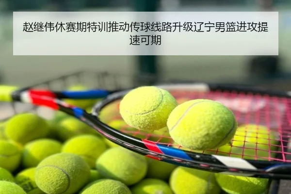 赵继伟休赛期特训推动传球线路升级辽宁男篮进攻提速可期